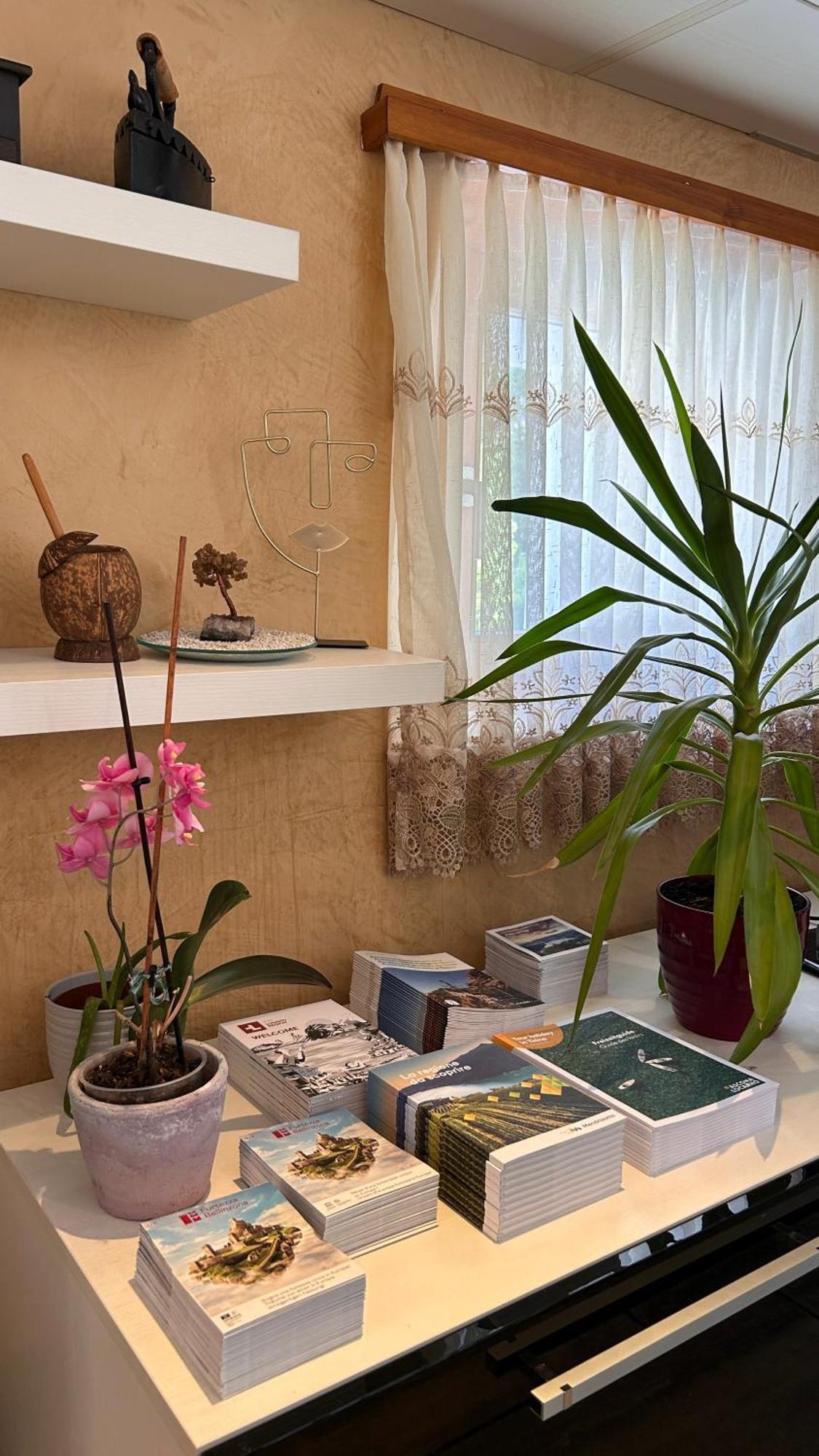 A Hilarious Hideaway In Roveredoアパートメント エクステリア 写真